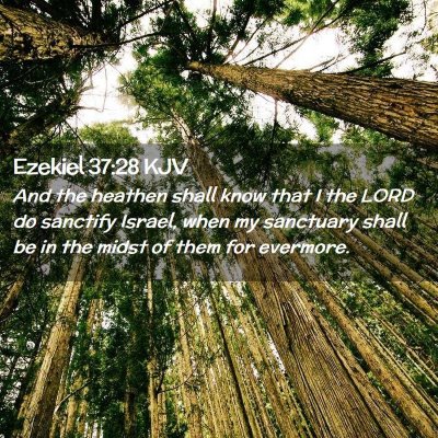 Ezekiel 37:28 KJV Free Bible Images