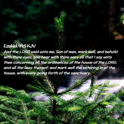 Ezekiel 44:5 KJV Free Bible Images