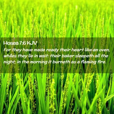 Hosea 7:6 KJV Free Bible Images