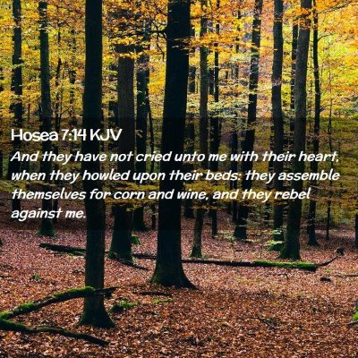 Hosea 7:14 KJV Free Bible Images