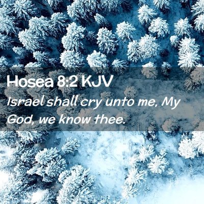 Hosea 8:2 KJV Free Bible Images