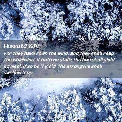 Hosea 8:7 KJV Free Bible Images