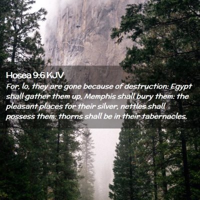 Hosea 9:6 KJV Free Bible Images