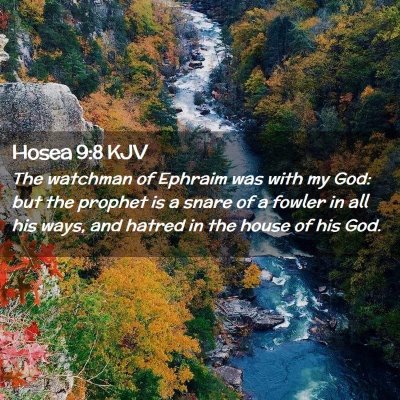 Hosea 9:8 KJV Free Bible Images