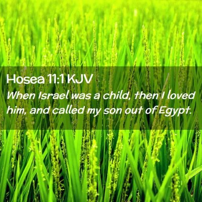 Hosea 11:1 KJV Free Bible Images