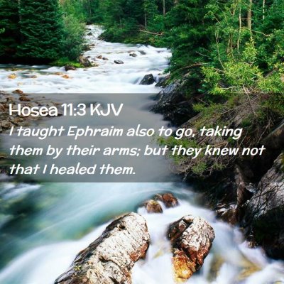 Hosea 11:3 KJV Free Bible Images