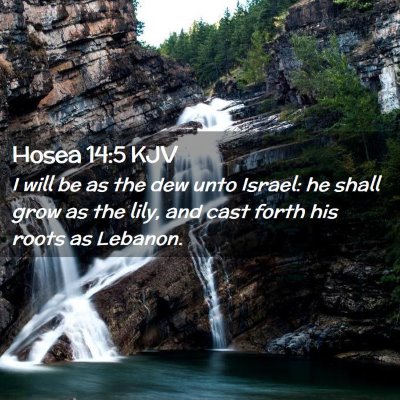 Hosea 14:5 KJV Free Bible Images