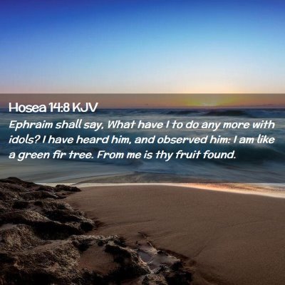 Hosea 14:8 KJV Free Bible Images