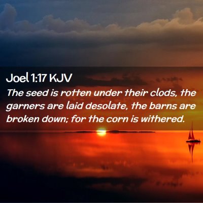 Joel 1:17 KJV Free Bible Images