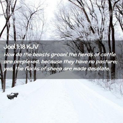 Joel 1:18 KJV Free Bible Images