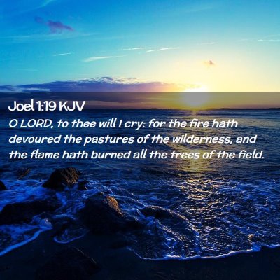 Joel 1:19 KJV Free Bible Images