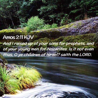 Amos 2:11 KJV Free Bible Images