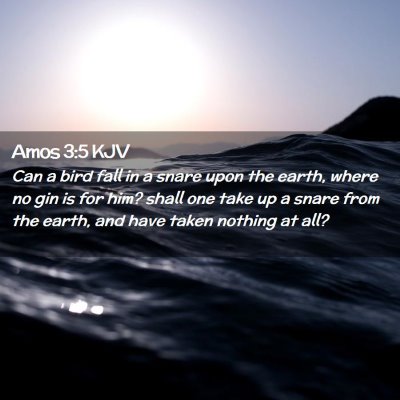 Amos 3:5 KJV Free Bible Images