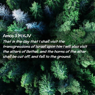 Amos 3:14 KJV Free Bible Images