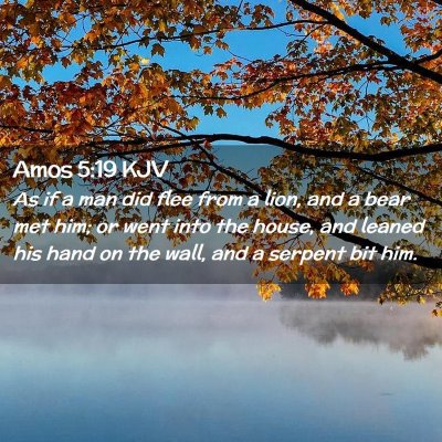 Amos 5:19 KJV Free Bible Images