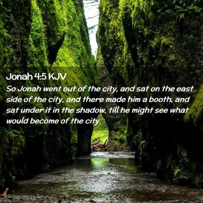 Jonah 4:5 KJV Free Bible Images