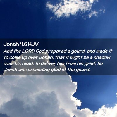 Jonah 4:6 KJV Free Bible Images