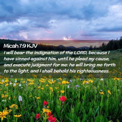 Micah 7:9 KJV Free Bible Images