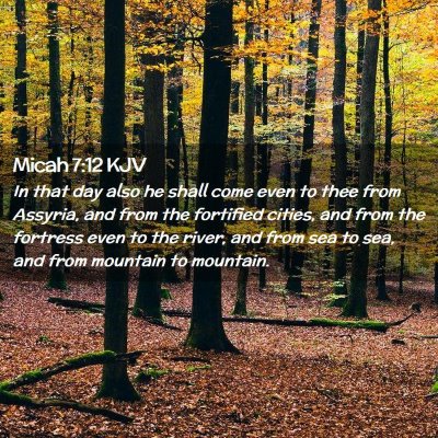 Micah 7:12 KJV Free Bible Images