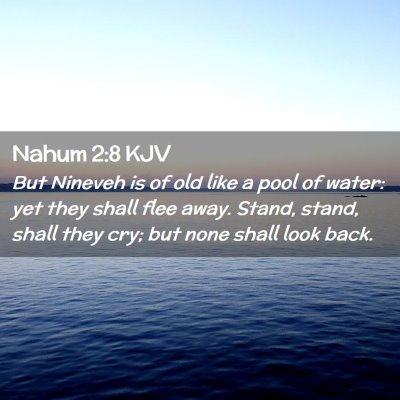 Nahum 2:8 KJV Free Bible Images