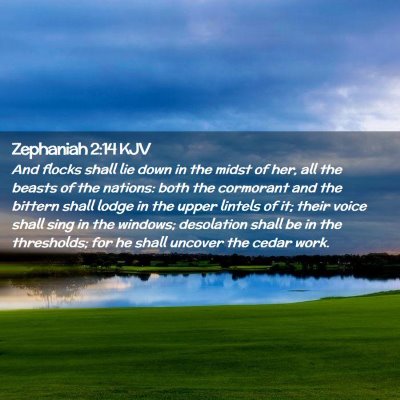 Zephaniah 2:14 KJV Free Bible Images