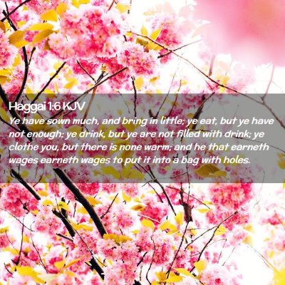 Haggai 1:6 KJV Free Bible Images