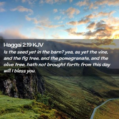 Haggai 2:19 KJV Free Bible Images