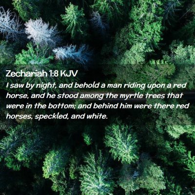 Zechariah 1:8 KJV Free Bible Images