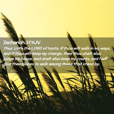 Zechariah 3:7 KJV Free Bible Images