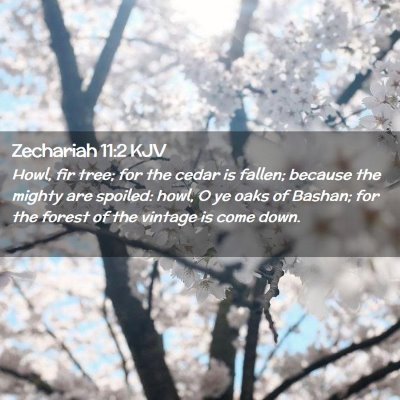 Zechariah 11:2 KJV Free Bible Images