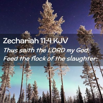 Zechariah 11:4 KJV Free Bible Images