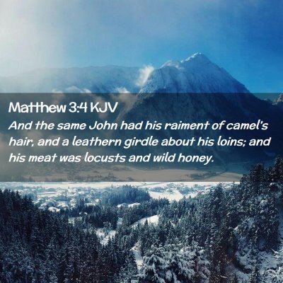 Matthew 3:4 KJV Free Bible Images