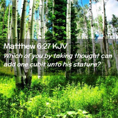 Matthew 6:27 KJV Free Bible Images