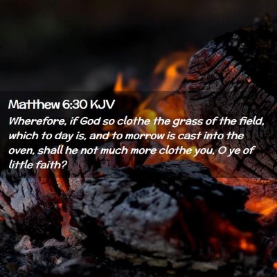 Matthew 6:30 KJV Free Bible Images