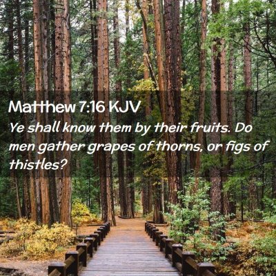 Matthew 7:16 KJV Free Bible Images