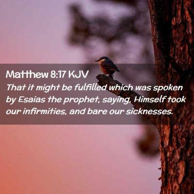 Matthew 8:17 KJV Free Bible Images