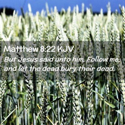 Matthew 8:22 KJV Free Bible Images