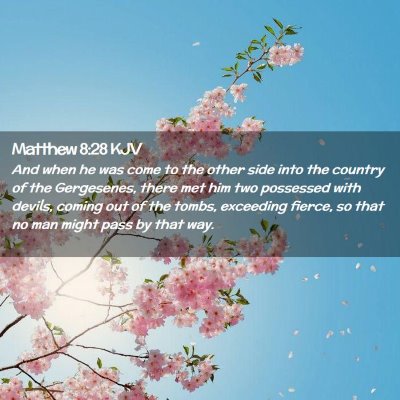 Matthew 8:28 KJV Free Bible Images