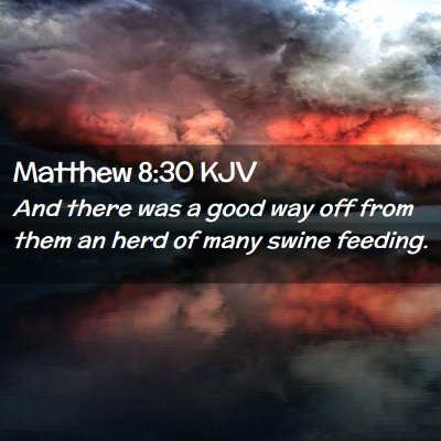 Matthew 8:30 KJV Free Bible Images