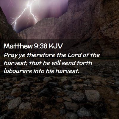 Matthew 9:38 KJV Free Bible Images