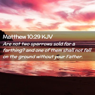 Matthew 10:29 KJV Free Bible Images