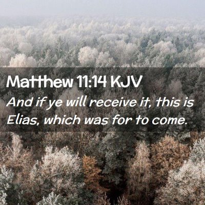 Matthew 11:14 KJV Free Bible Images