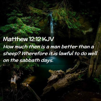 Matthew 12:12 KJV Free Bible Images