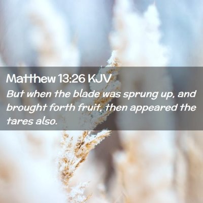 Matthew 13:26 KJV Free Bible Images