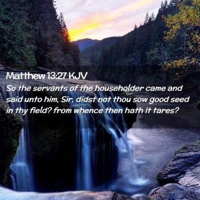 Matthew 13:27 KJV Free Bible Images