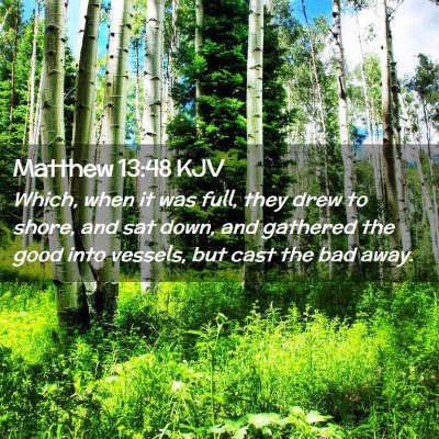 Matthew 13:48 KJV Free Bible Images