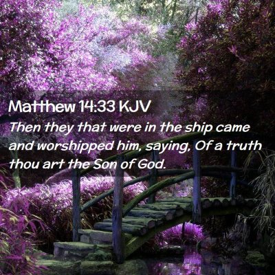 Matthew 14:33 KJV Free Bible Images