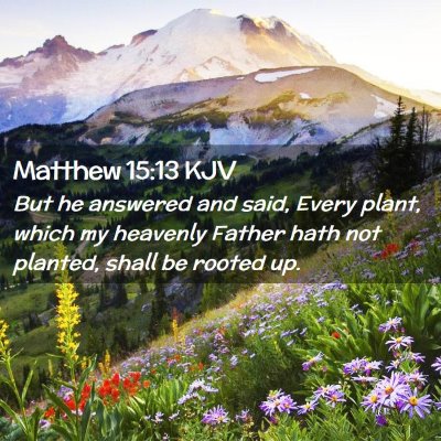 Matthew 15:13 KJV Free Bible Images