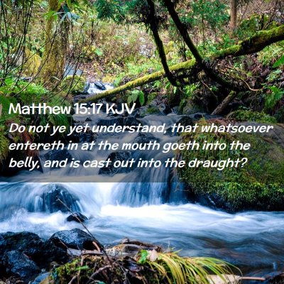 Matthew 15:17 KJV Free Bible Images