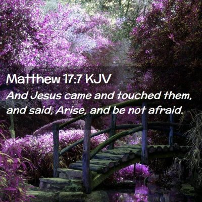 Matthew 17:7 KJV Free Bible Images